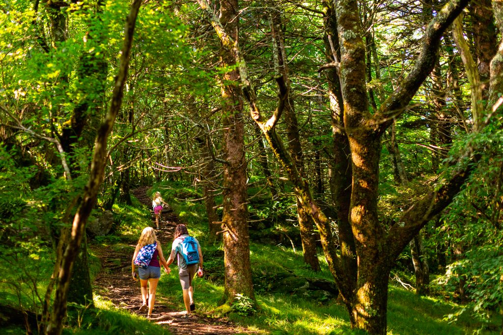 A couple holds hands and walks on a wooded trail