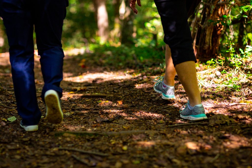 two sets of legs hiking on a wooded trail. 